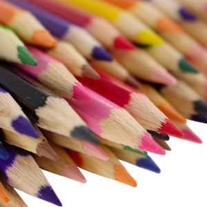 Coloured Pencils Cat Pic